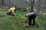 Camping, Sweden, Ragunda, Hammarstrand